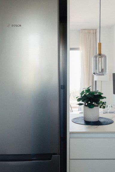 Fridge and sea view